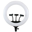 Iluminador Ring Light 18 Polegadas Greika CL-18