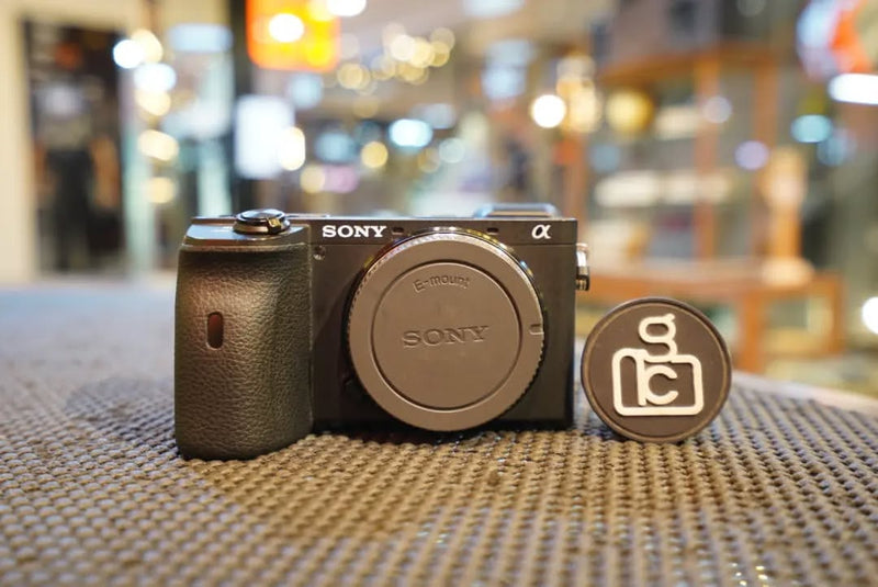 Camera Sony A6600